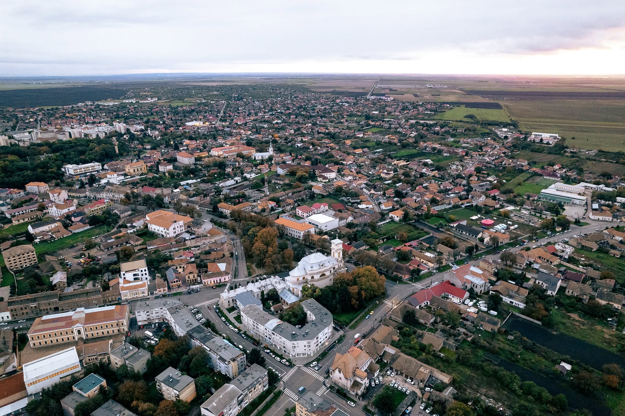 Municipiul Carei